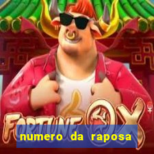 numero da raposa jogo do bicho